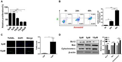 Curcumin-Induced Global Profiling of Transcriptomes in Small Cell Lung Cancer Cells